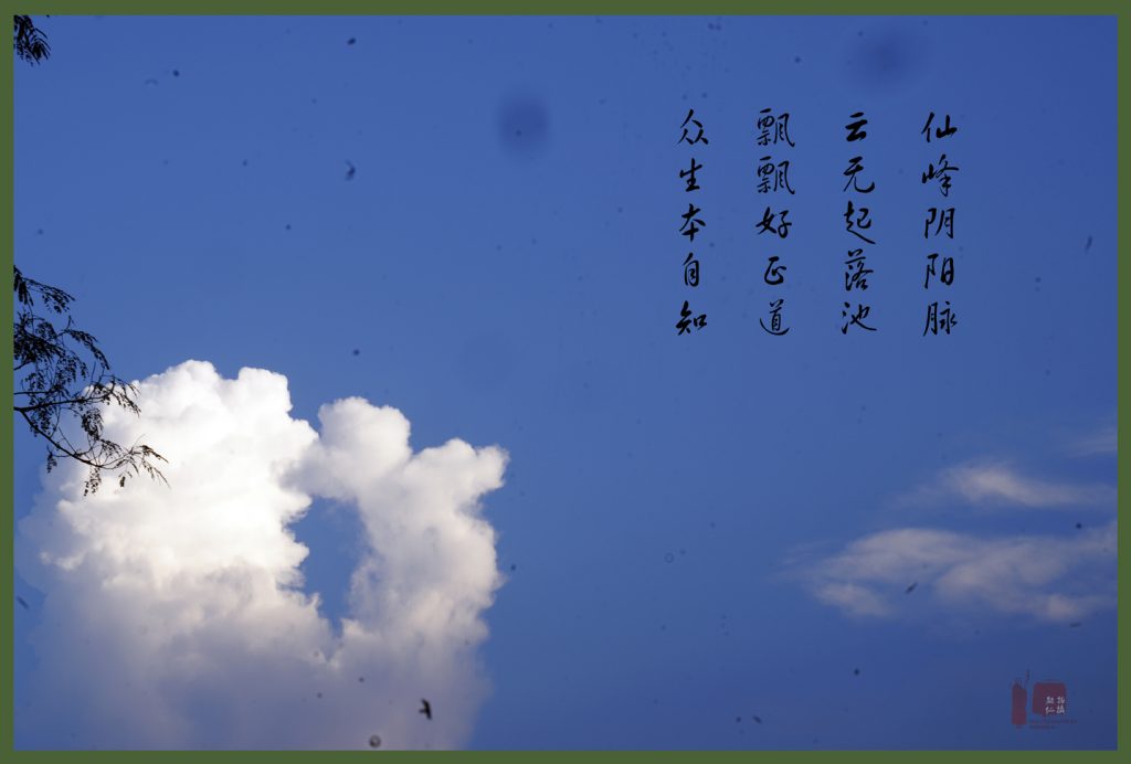 【视频】傍晚的九华山 霞光异彩 大美无限 生大欢喜心
