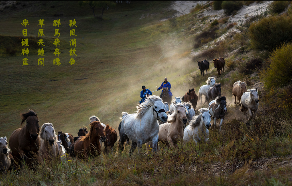 乌兰布统大自然的美；感恩一切有缘众生！