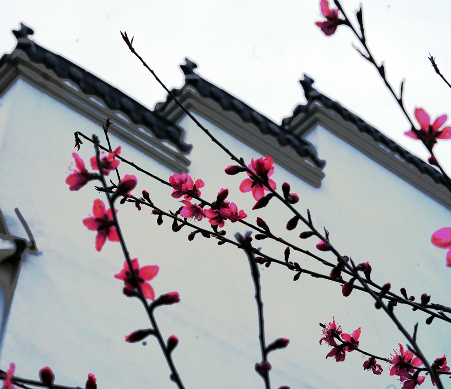 花之语，心之爱