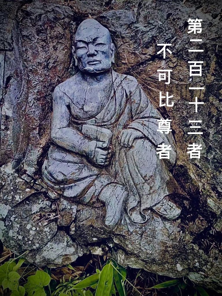 第贰佰壹拾叁尊 不可比尊者